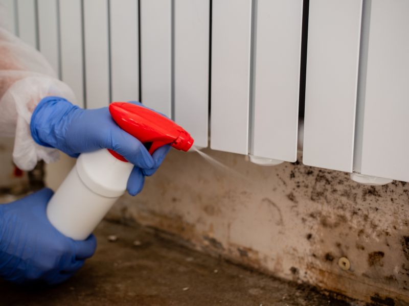 Sanitization and Mold Prevention