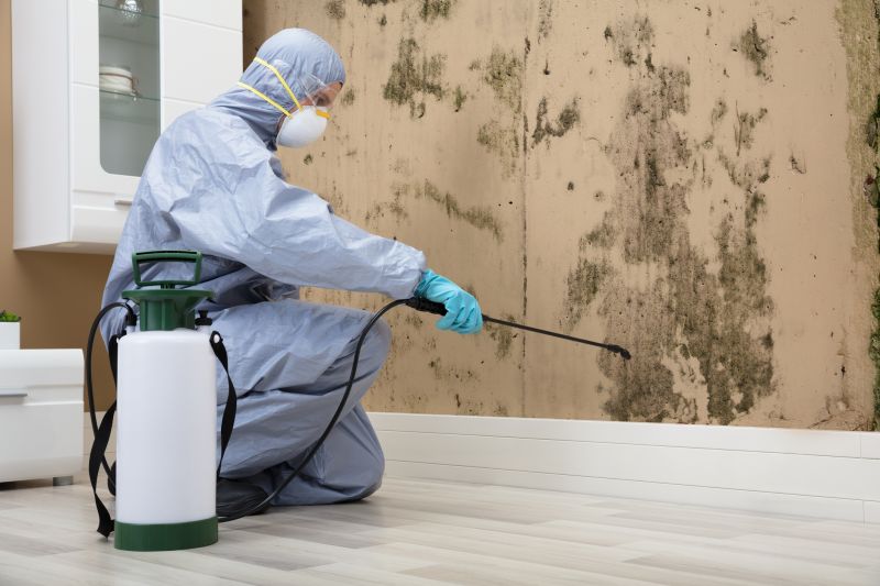 Mold Prevention Techniques