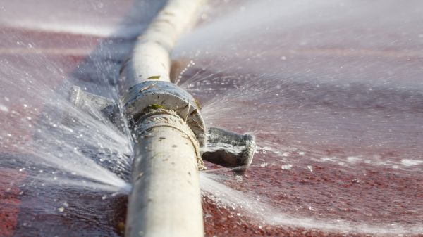 Burst Pipe Cleanup in Hopkins